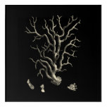 Black and Tan Coral Acrylic Print