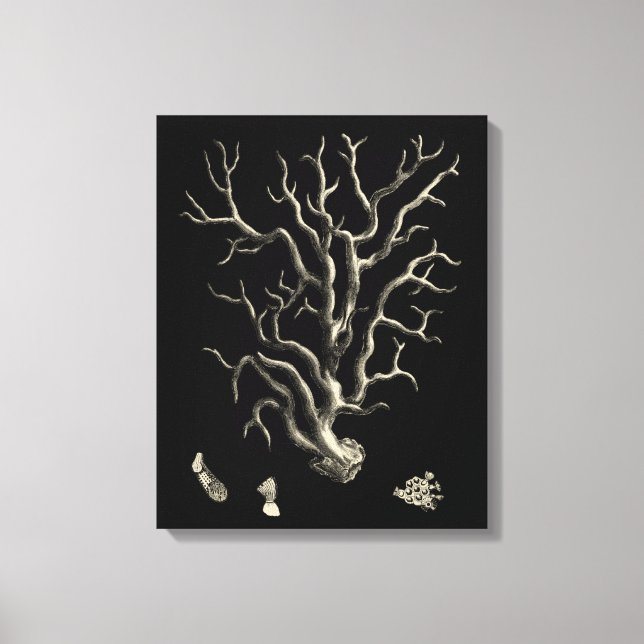Black and Tan Coral Canvas Print (Front)