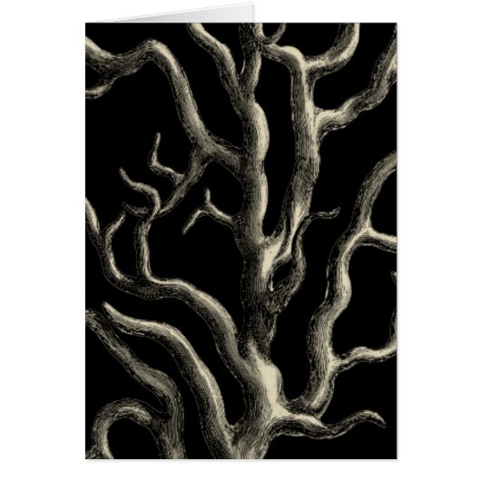 Black and Tan Coral Cards (Front)