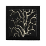 Black and Tan Coral Jewelry Box