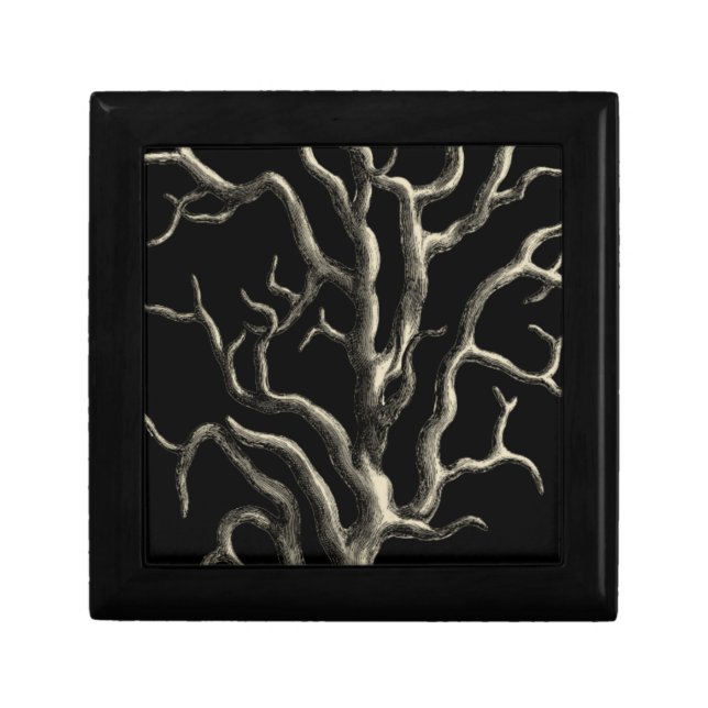 Black and Tan Coral Jewelry Box (Front)