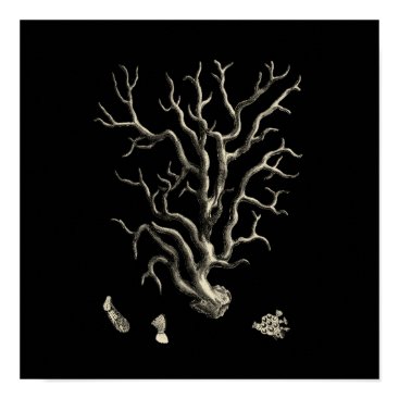 Black and Tan Coral Poster Black and Tan Coral Poster