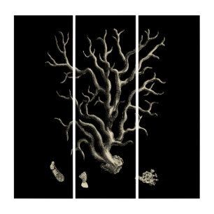 Black and Tan Coral Triptych