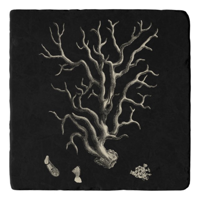 Black and Tan Coral Trivet (Front)