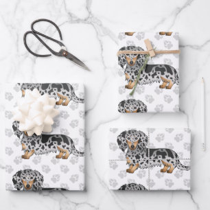 Black And Tan Dapple Long Hair Dachshund & Paws Wrapping Paper Sheets