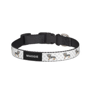 Black And Tan Dapple Short Hair Dachshund & Name Pet Collar
