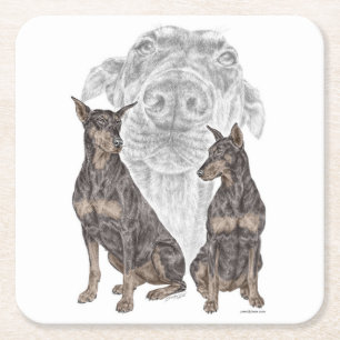 Black and Tan Doberman Dogs Square Paper Coaster