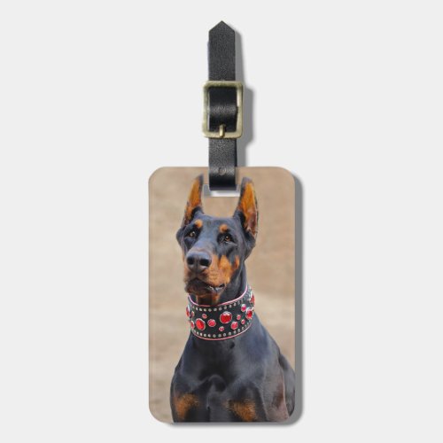 Black and Tan Doberman Pinscher in Jeweled collar Luggage Tag