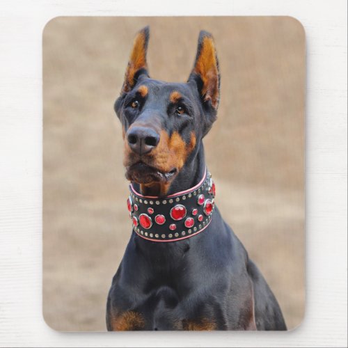 Black and Tan Doberman Pinscher in Jeweled collar Mouse Pad