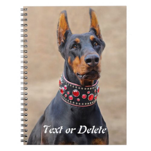 Black and Tan Doberman Pinscher in Jeweled collar Notebook