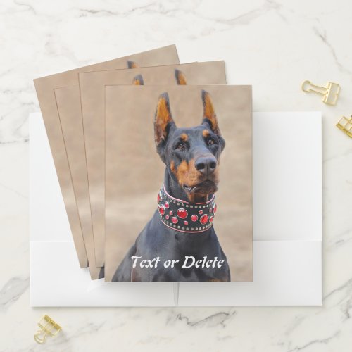 Black and Tan Doberman Pinscher in Jeweled collar Pocket Folder