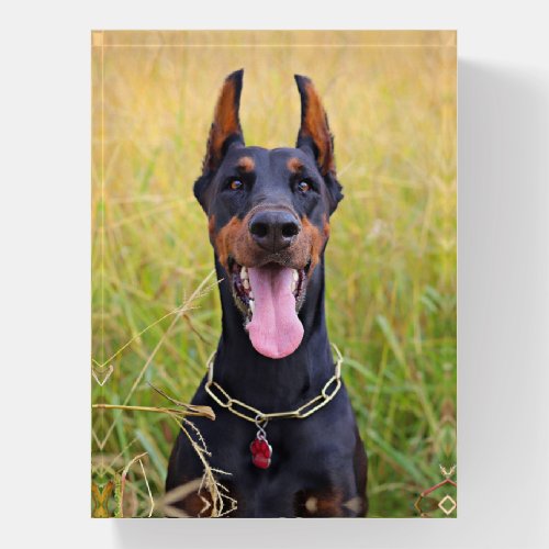 Black and Tan Doberman Pinscher Paperweight