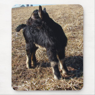 Black and Tan Kid Mouse Pad