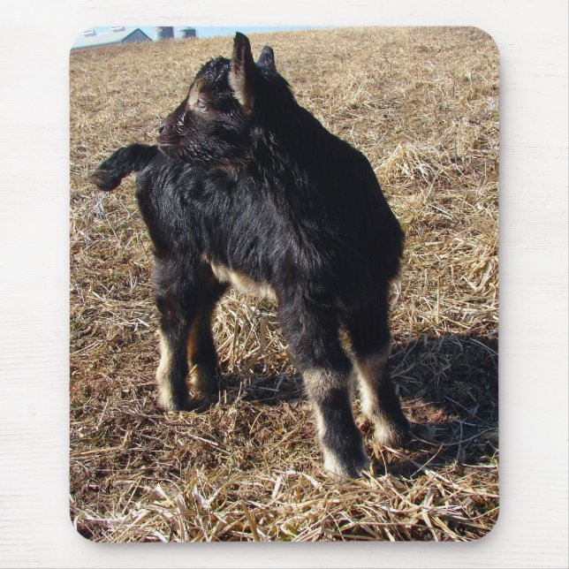 Black and Tan Kid Mouse Pad (Front)