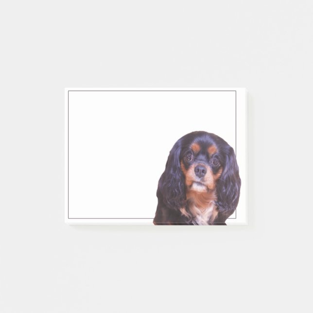 Black And Tan King Charles Spaniel Post It note (Front)