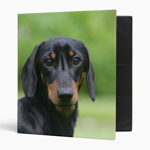 Black and Tan Miniture Dachshund 1 Binder