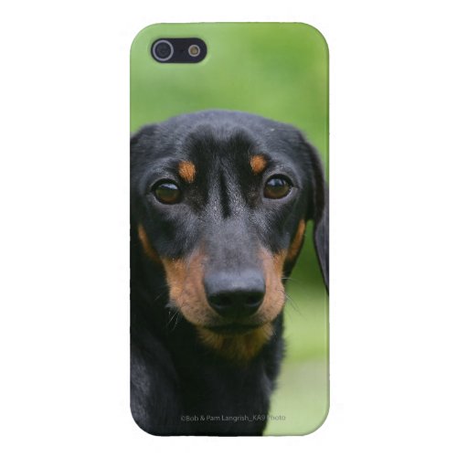 Black and Tan Miniture Dachshund 1 Case For iPhone SE55s