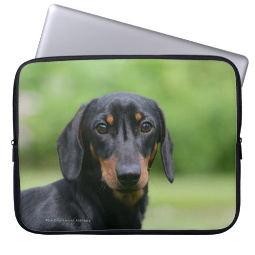 Black and Tan Miniture Dachshund 1 Laptop Sleeve