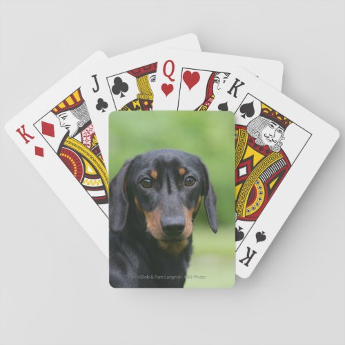 Black and Tan Miniture Dachshund 1 Poker Cards
