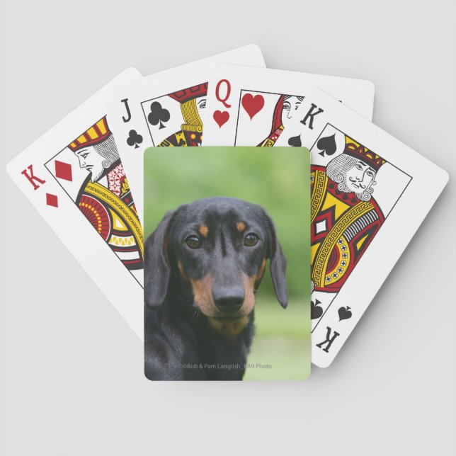 Black and Tan Miniture Dachshund 1 Poker Cards (Back)