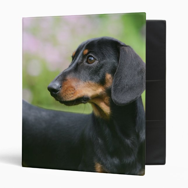 Black and Tan Miniture Dachshund 2 Binder (Front/Inside)
