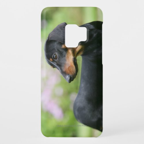 Black and Tan Miniture Dachshund 2 Case_Mate Samsung Galaxy S9 Case