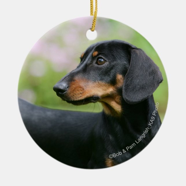 Black and Tan Miniture Dachshund 2 Ceramic Ornament (Front)