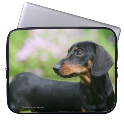 Black and Tan Miniture Dachshund 2 Laptop Sleeve