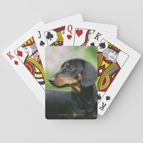 Black and Tan Miniture Dachshund 2 Poker Cards
