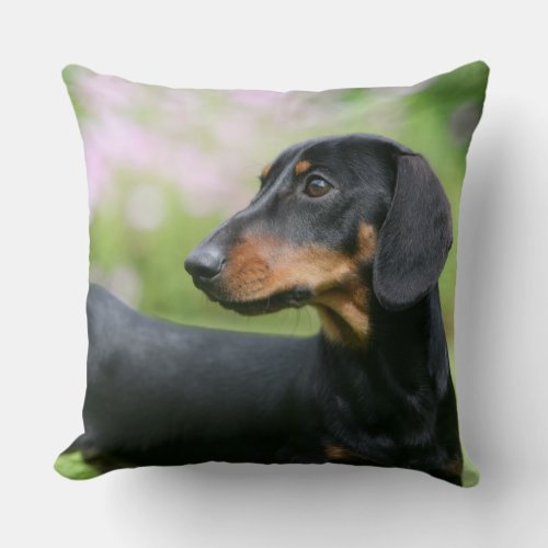 Black and Tan Miniture Dachshund 2 Throw Pillow