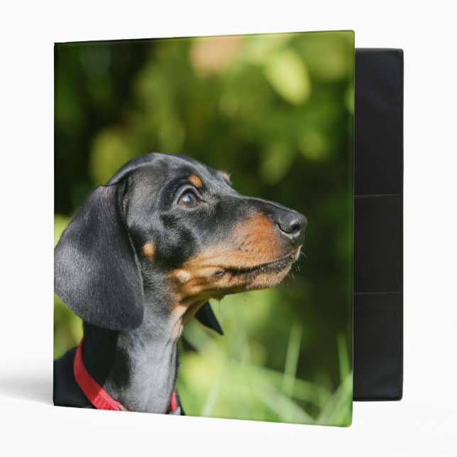 Black and Tan Miniture Dachshund 3 Binder (Front/Inside)