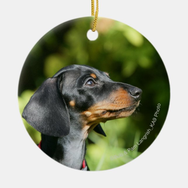 Black and Tan Miniture Dachshund 3 Ceramic Ornament (Front)