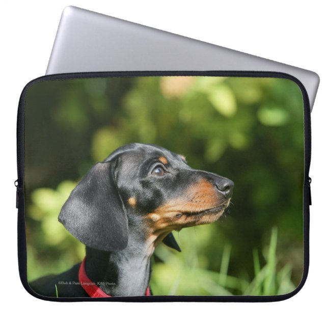 Black and Tan Miniture Dachshund 3 Laptop Sleeve (Front)