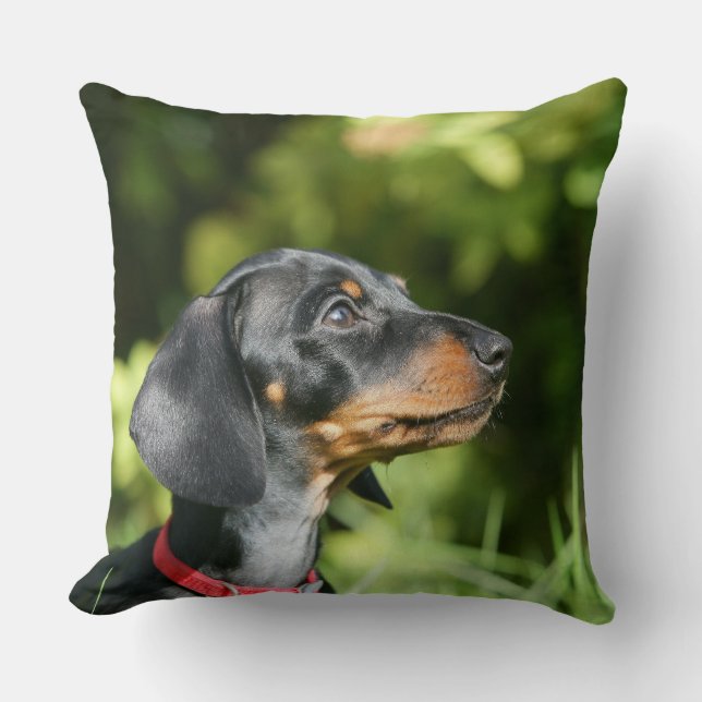 Black and Tan Miniture Dachshund 3 Throw Pillow (Front)