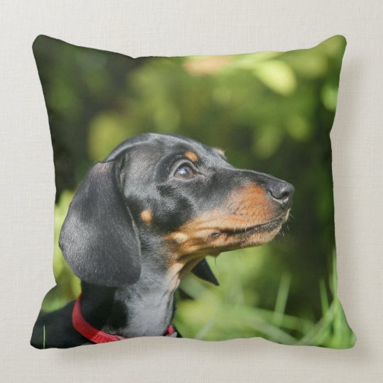 dachshund throw pillow