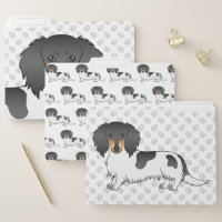 Black And Tan Piebald Long Hair Dachshund Dog