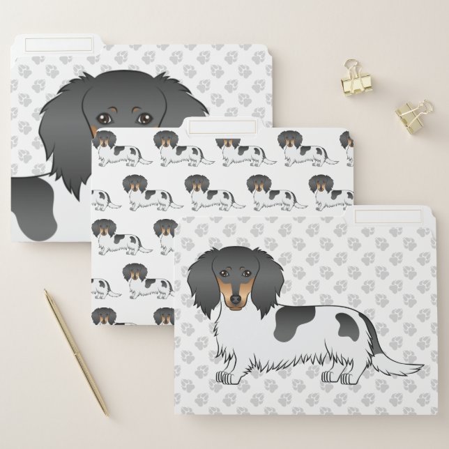 Black And Tan Piebald Long Hair Dachshund Dog File Folder (Set)