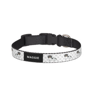 Black And Tan Piebald Long Hair Dachshund & Name Pet Collar
