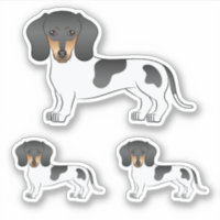 Black and tan cheap piebald dachshund