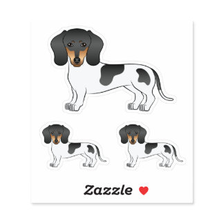Black And Tan Piebald Short Hair Dachshund Dog Sticker