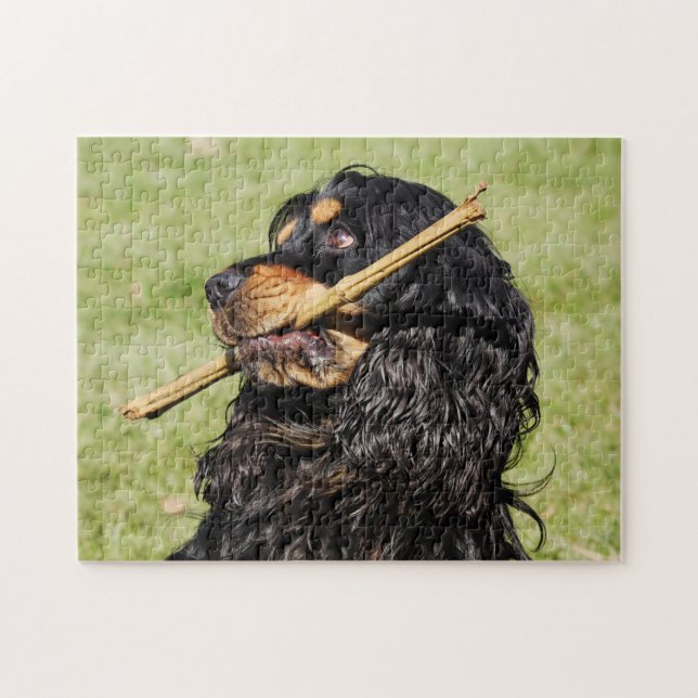 Black and Tan Playful Cocker Spaniel Puppy Dog Jigsaw Puzzle (Horizontal)
