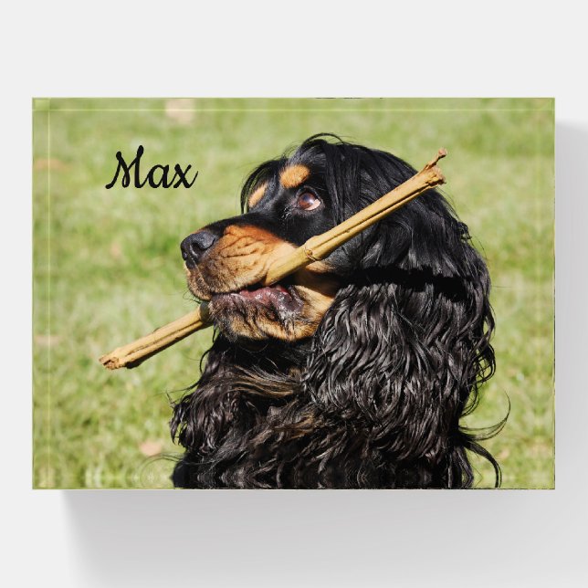 Black and Tan Playful Cocker Spaniel Puppy Dog Paperweight (Front)