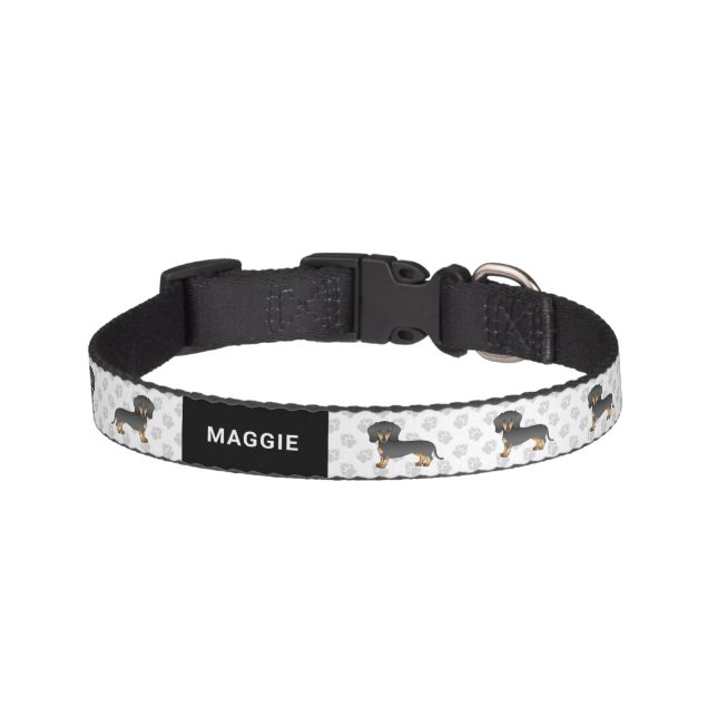 Black And Tan Short Hair Dachshund Dog & Name Pet Collar (Front)