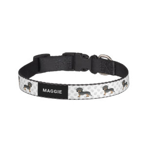 Black And Tan Wire Haired Dachshund Dog & Name Pet Collar