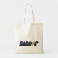 Black and Wheaten Scottish Terriers