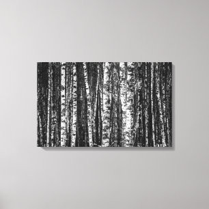 Black and White Abstract Birch Forest Canvas Print