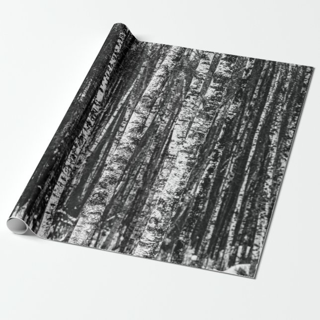 Black and White Abstract Birch Forest Wrapping Paper (Unrolled)