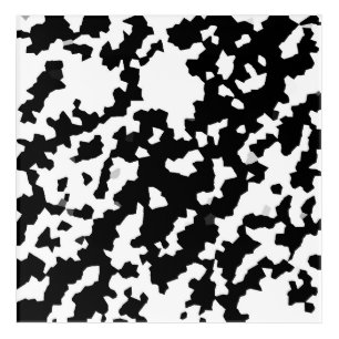 Black And White Abstract Camouflage Download And Acrylic Print