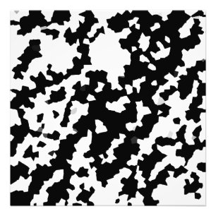Black And White Abstract Camouflage Pattern Photo Print