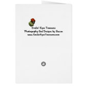 Black And White Abstract Design Photo Card (Back)